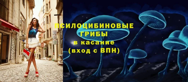 спиды Дмитров
