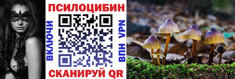 Псилоцибиновые грибы Magic Shrooms  закладки  Благовещенск 